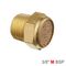 AIRCRAFT Muffler Brass Flat 3/8' Male